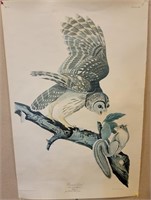 "Barred Owl" Engraved Print #10 by R Havel