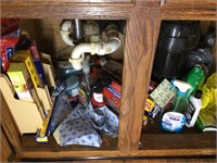 Contents from under kitchen sink