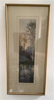 Woodland Scene Framed Print