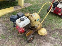 DIAPHRAGM PUMP, HONDA GAS ENGINE