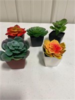 Toy Succulents; set of 5