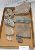 FLATBOX OF FOSSILIZED OF ROCKS