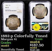 NGC 1882-p Colorfully Toned Morgan Dollar $1 Grade