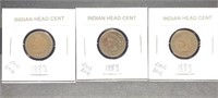 Lot of 3 1883 Indian Head Cent