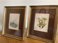 Framed watercolors of nature