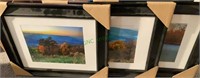Framed photographs - three different scenes.