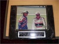 Earnhardt, Petty and Gordon Plaques - 15 x 12