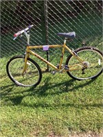 Trek Anniversary bicycle