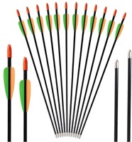 Fiberglass Youth Arrows, Archery 26 Inch, 12-pack