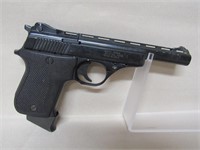 Phoenix Arms Pistol