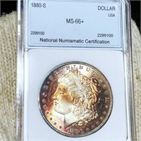 1880-S Morgan Silver Dollar NNC - MS66+
