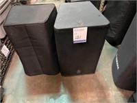 Yamaha DSR 15 Speakers