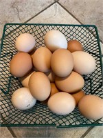 Eggs for a year