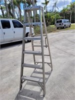 6Ft Aluminum Ladder
