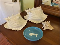 Pair of Conch Shell Planters & Conch Shell