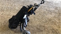Set of Men's Rt Hand Golf Clubs w/ cart
