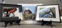 3 Piece Lot of Bird Photographs