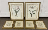6 Framed Botanical Prints