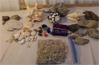 Box lot sea shells and misc gems/minerals/rocks