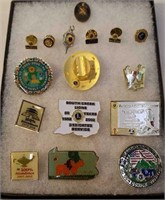 Lot of Lions pins and intricate US Navy pin