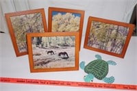 4 Framed Photos & a Turtle