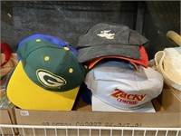 Assorted baseball hats turkey providers Green Bay