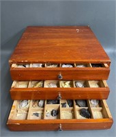 Large Collection of Fossils and Stones