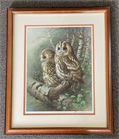 Raymond Watson "The Tawny Owl" Print