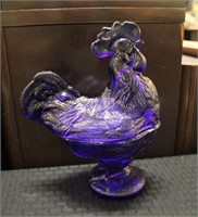 Cobalt blue rooster on nest