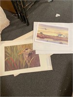 Waterfowl Show Prints