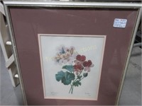 Pair of PJ Redoute botanical prints