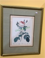 Vintage framed print of a rose with damage to