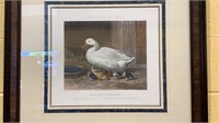 Antique framed engraving of a duck & ducklings,