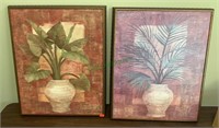 2 framed prints of  vases with plants. Both