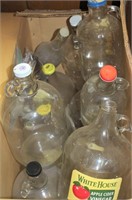 Box of Gal. Glass Apple Cider Vinegar Jars