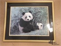 Panda and Cub Framed Print