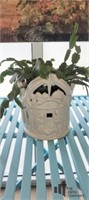 Ceramic Open Carved Planter with Live Plant