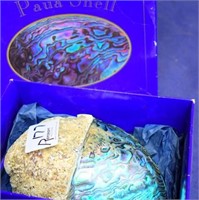 Paua Shell  in original box