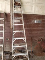 1 Aluminum Ladder
