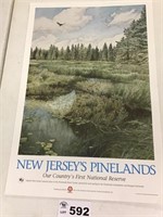 NEW JERSEYS PINELANDS PRINT, APPROX 20 IN BY 30 IN
