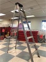 8 FOOT ALUMINUM LADDER WITH PAINT TRAY