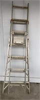 13ft Extension Ladder