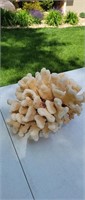 Large chunk of coral approx 9"