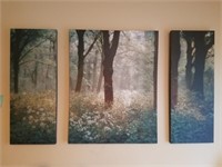 Set of (3) Wrapped Canvas Forest Photos