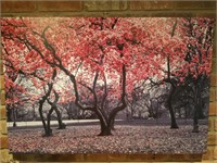 Canvas Wrapped Tulip Tree Park Scene
