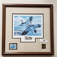 "AMERICAN WIGEON" BY D.J. CLELAND-HURA