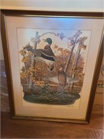 Richard Sloan Mallard Duck Framed Print