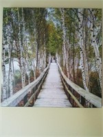 Pair Canvas Wrapped Forest Walking Bridge Photos