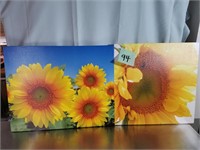 Pair Canvas Wrapped Sunflower Photos