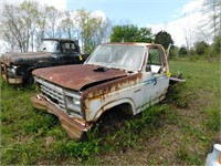 1980 Ford Custom